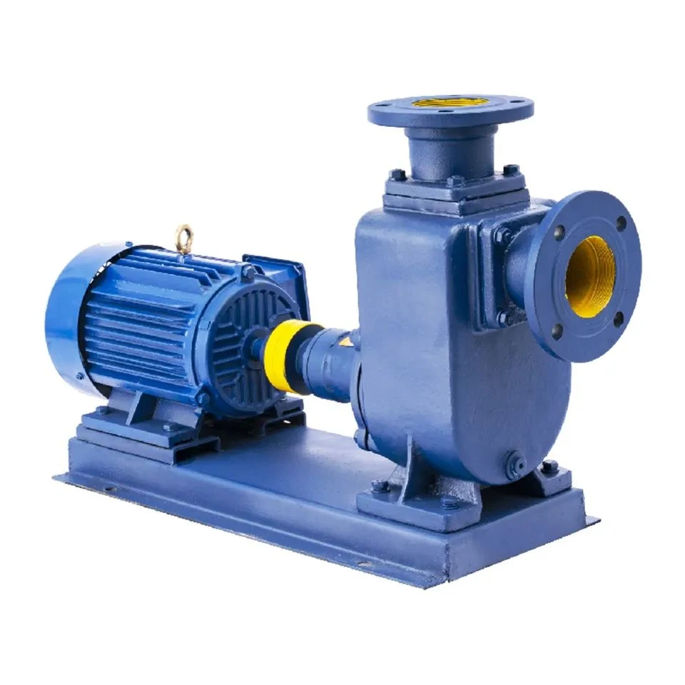 Kangqiao Horizontal Self Suction Self Priming Singlestage Acid Chemical Slurry Centrifugal Sewage Clean Water Anti-Corrosive Pump with ISO/CE