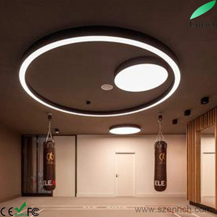 LC6060-1.2m Aluminum Profile LED Circular Pendant Light Ceiling Suspended Ring Light for Office Lighting