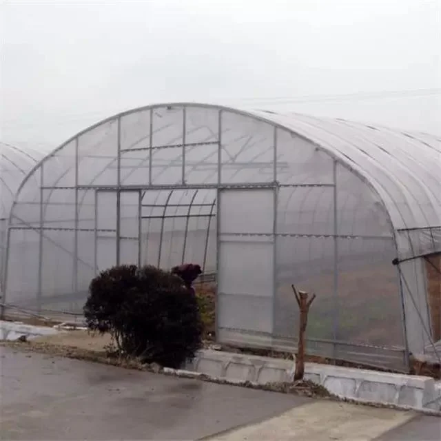 Production manuelle de type Xinhe Nude ou Carton Plant tunnel Greenhouse