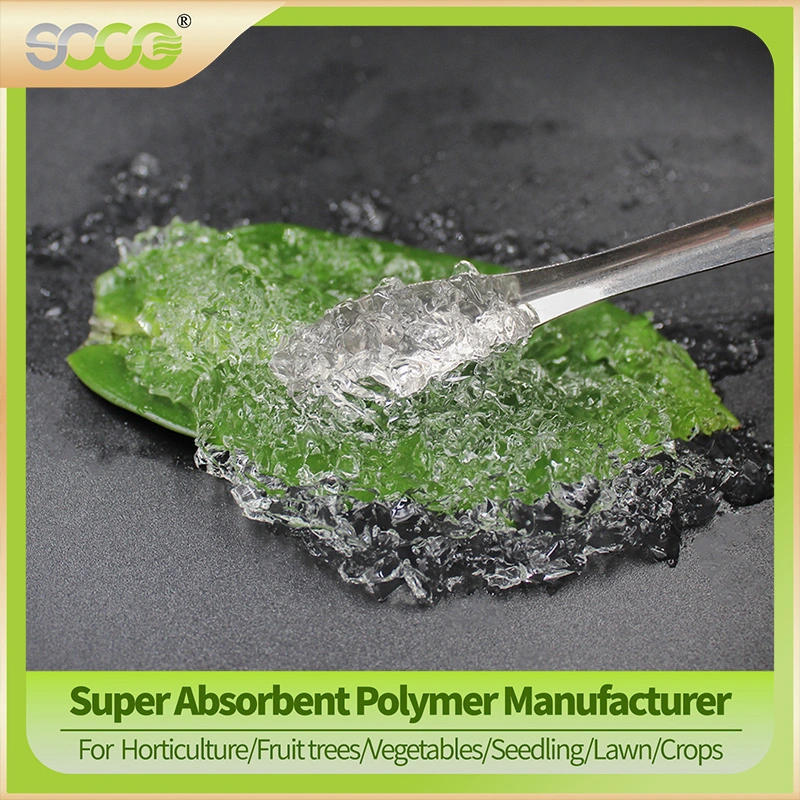 Biodegradable Potassium Polyacrylate Sap Super Absorbent Polymer for Planting Cherries and Blueberries