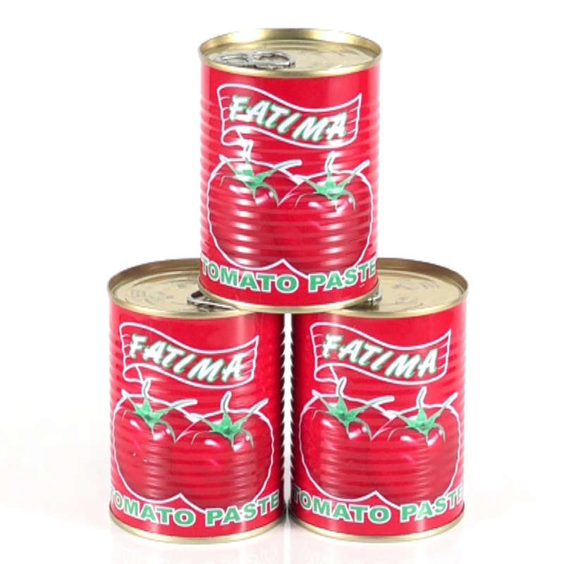 High Quality Fresh Healthy Tomato Paste Bulk Wholesale Tomato Sauce with Factory Price