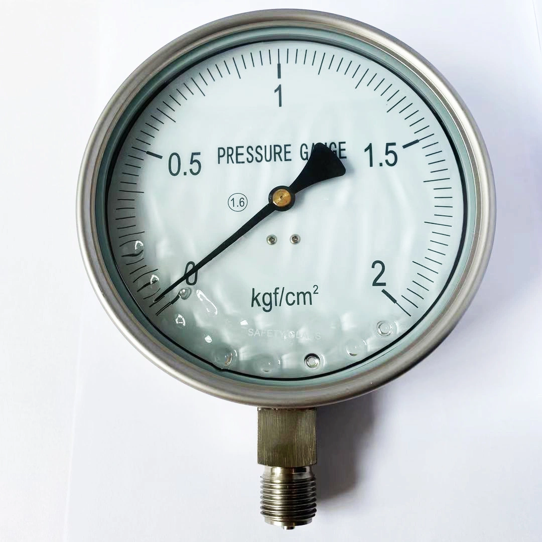 Ytn-60 Most Popular Shock - Resistant Vibration-Proof Pressure Gauge