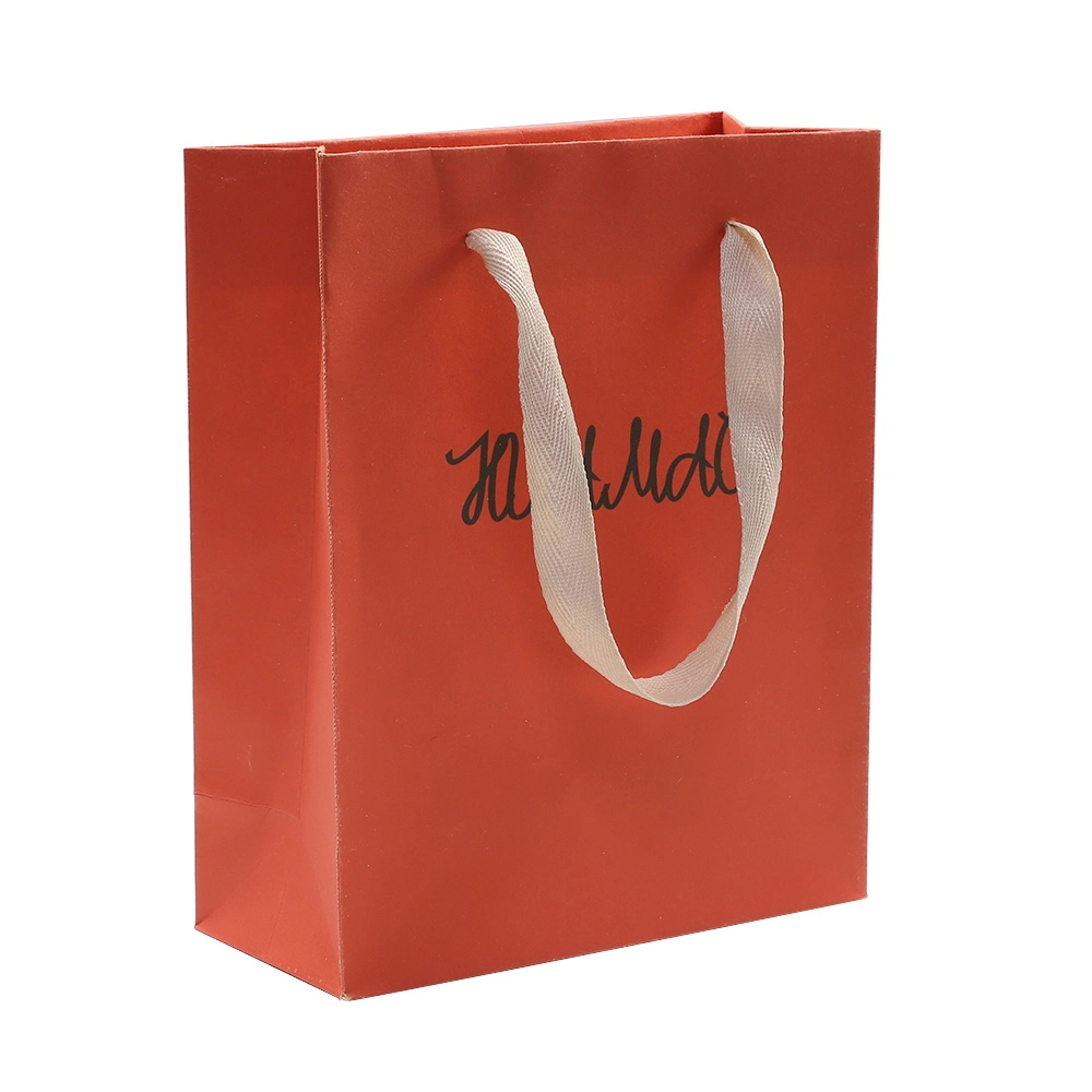 Promotional Printed Paper Gift Packing Bag for Shoes Foods