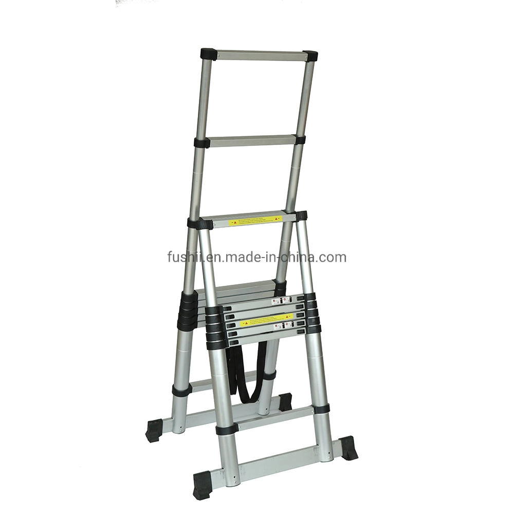 a Type Aluminum Telescopic Ladder