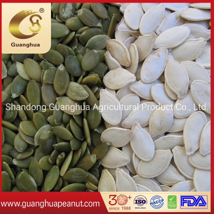 Wholesale/Supplier High quality/High cost performance  AA Snow White Pumpkin Seeds