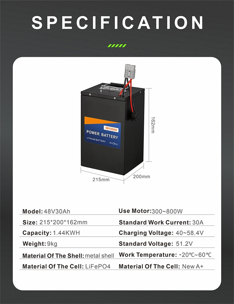 48V 30ah 50ah 100ah Electric Vehicle Bike Lithium Ion Battery