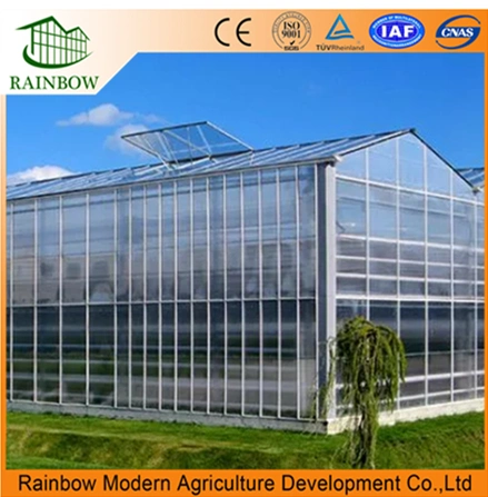 Chinese Agriculture PC Sheet Flower Greenhouse