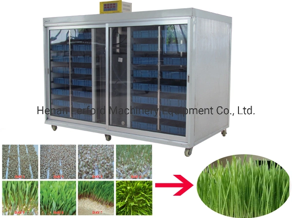 Farm Used Hydroponic System Green Fodder Sprouting Growing Machine Green Grass Making Machine
