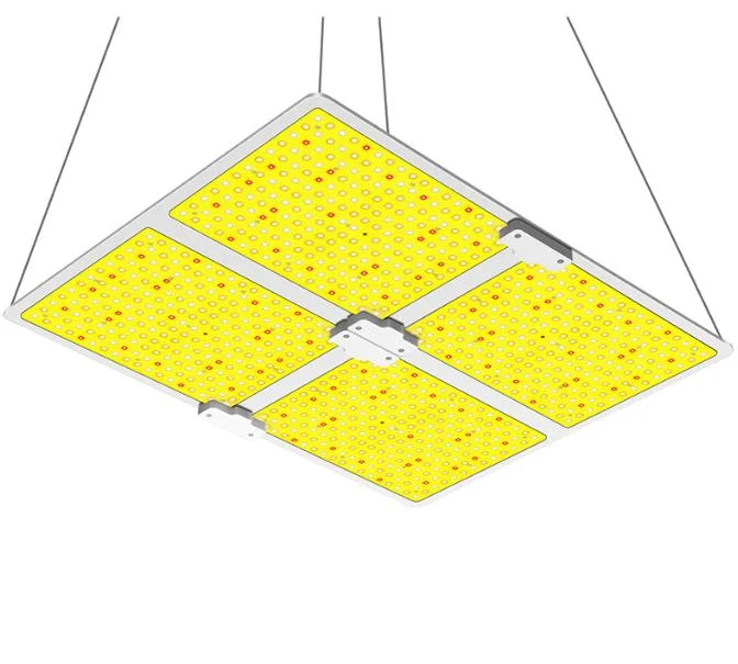 2022 Nova Luz crescer LED 1000W lâmpada LED da fábrica todo o espectro de luz da fábrica para a fábrica