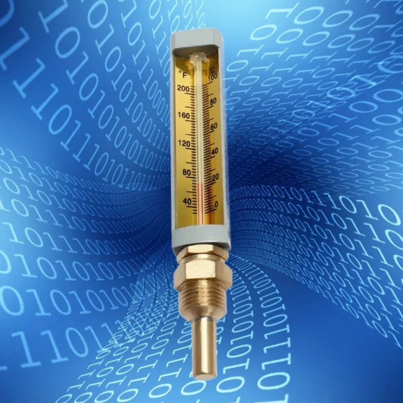 Insira a temperatura de tubos de instrumento de medida Marine termómetro para Marine Termómetros industriais para venda