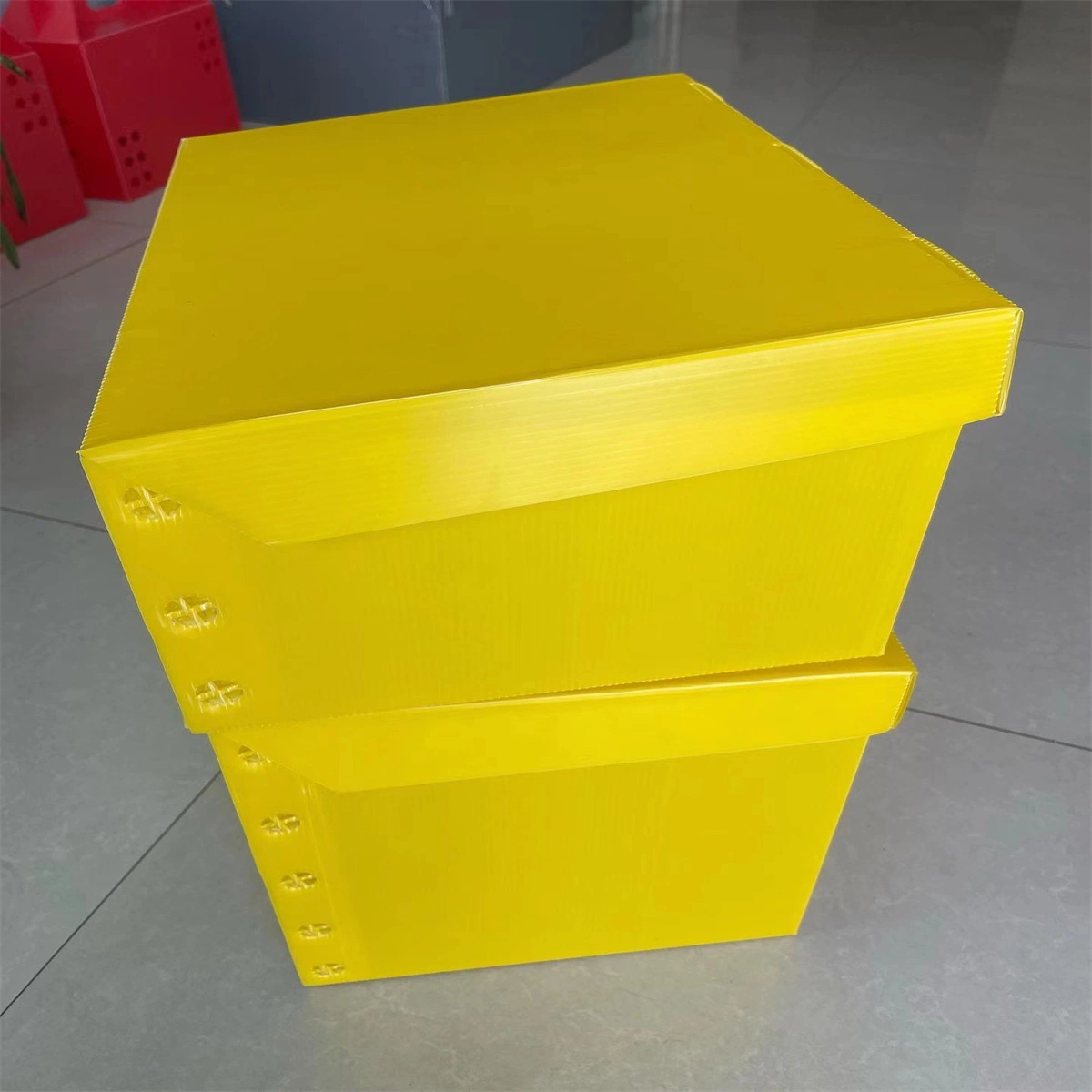 Customized Cheaper Foldable Polypropylene Corrugated Box PP Hollow File Case