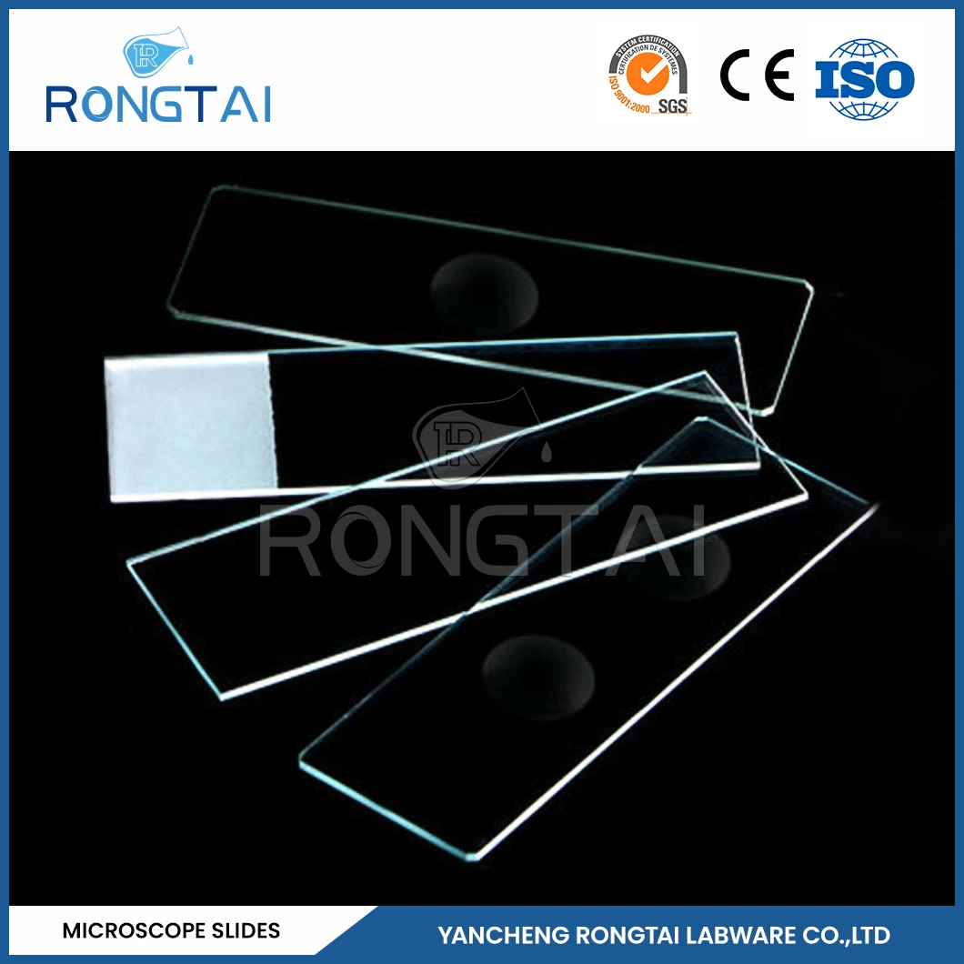 Rongtai Anatomy Microscope Slide Manufacturing Polystyrene Microscope Slides China 7101 7102 7105 7107 7109 Microscope Prepared Protozoa Slides