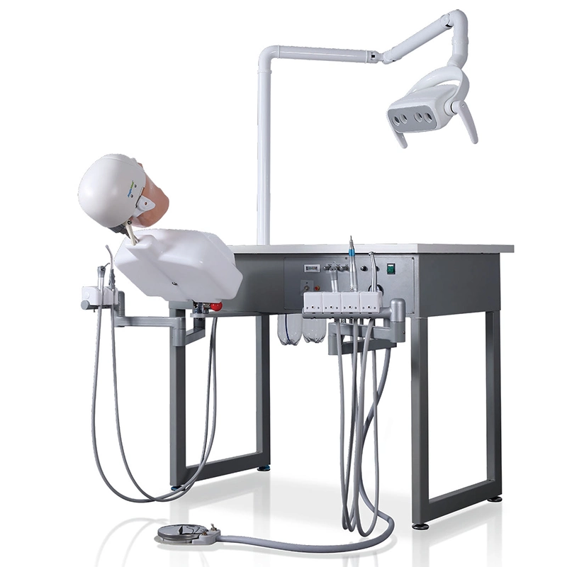 Dental Training System Unit Medical School Use Dental Phantom Head Simulator