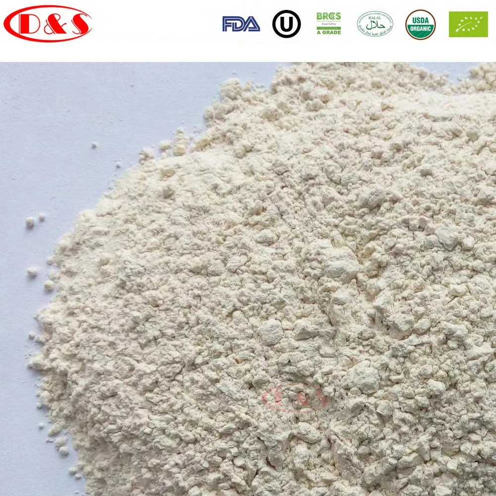 8-16/ 16-26/ 26-40/ 40-60/100-120 Mesh Dried Garlic Powder/Dehydrate Garlic Powder