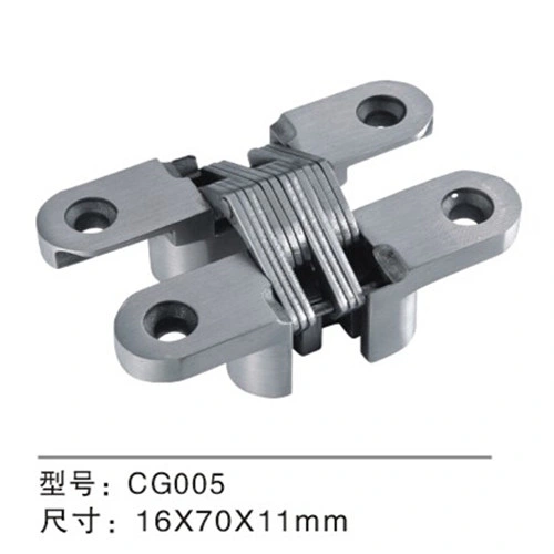 High Quality Furniture Stainless Steel 201/304 Folding Conceal Hinges (CG005) 2022