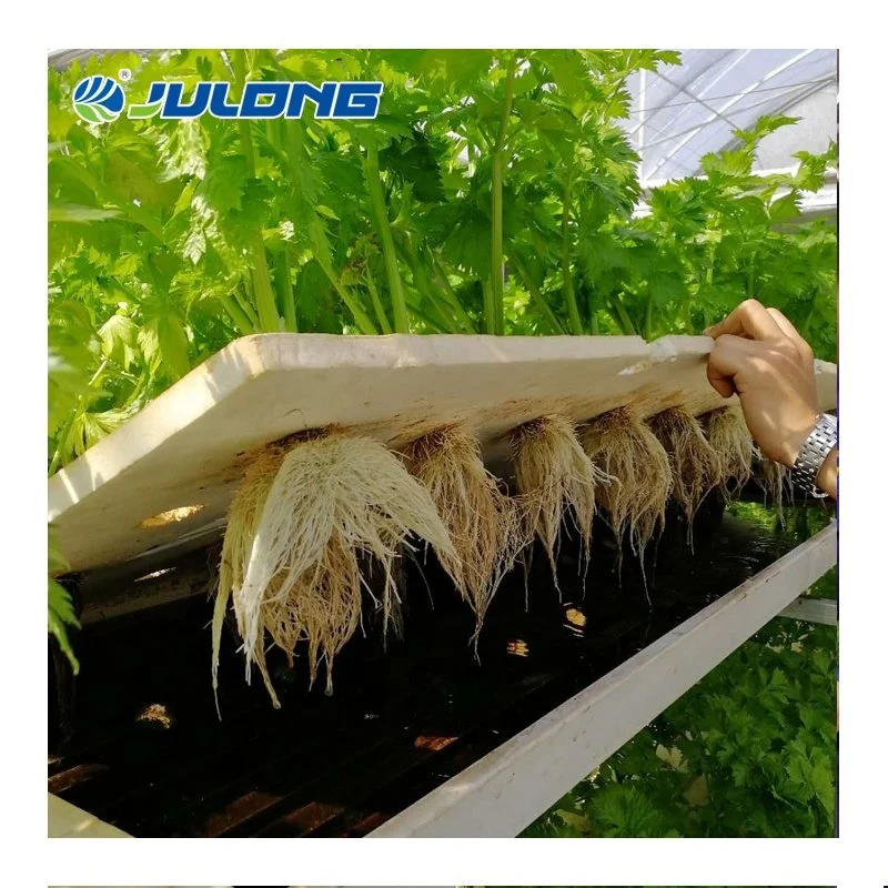 Smart Vertical Hydroponics Farm Tomato Cucumber Pepper Vegetable Greenhouse Price