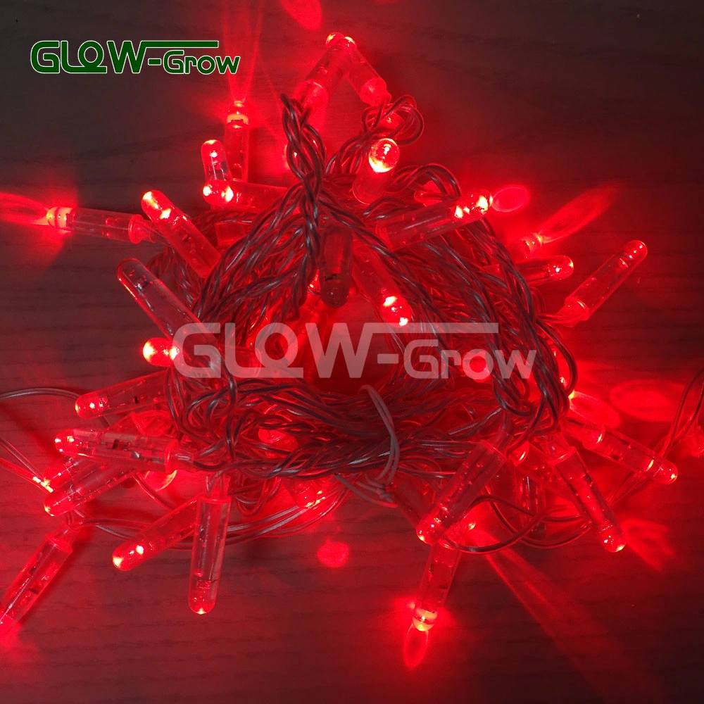 Cool White Transparent PVC Christmas LED String Light with Flash Bulb for Shopping Center Pub Club Concert Hall Cabaret Fashion Show Dance Stage Decoration