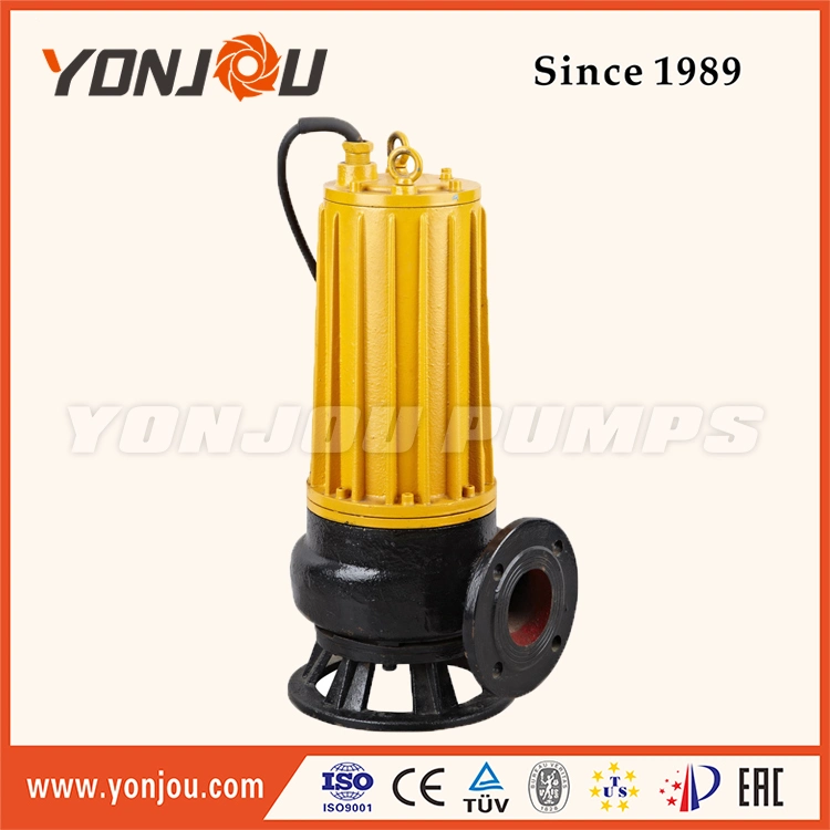 Qw Non Clogging Submersible Water Pump, Sewage Pump, Waste Water Pump