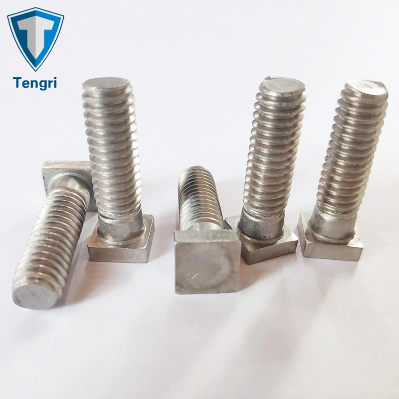 Special Fastener Square Head T Bolt Hanger Bolt Hand Bolt Stainless Steel