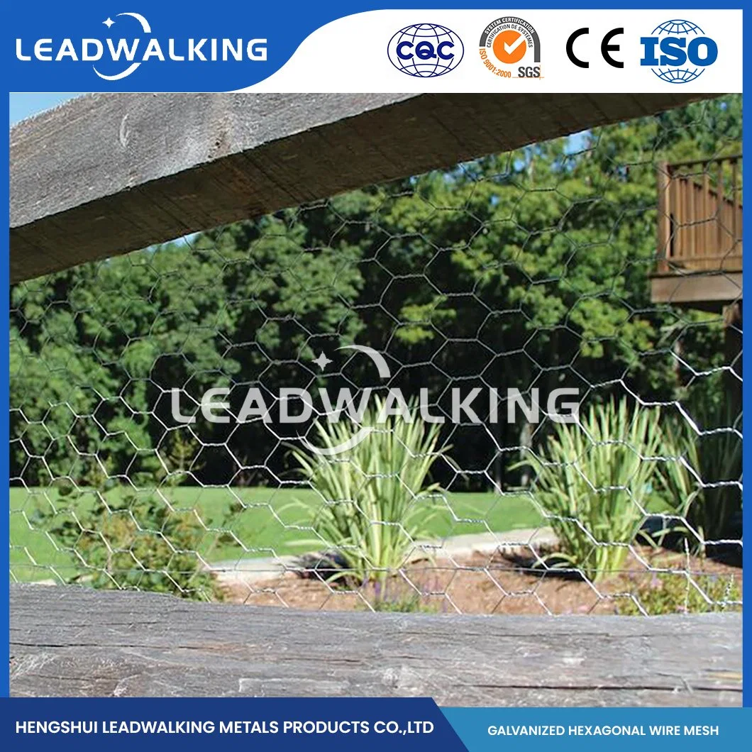 Leadwalking China alambre de pollo malla tamaños fábrica alambre de cobre material Malla de 3/4 pulgadas de Red Hex Galvanizada