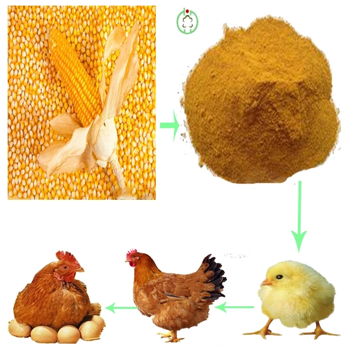 Farinha de glúten de milho Glúten de alta alimentação do gado suíno