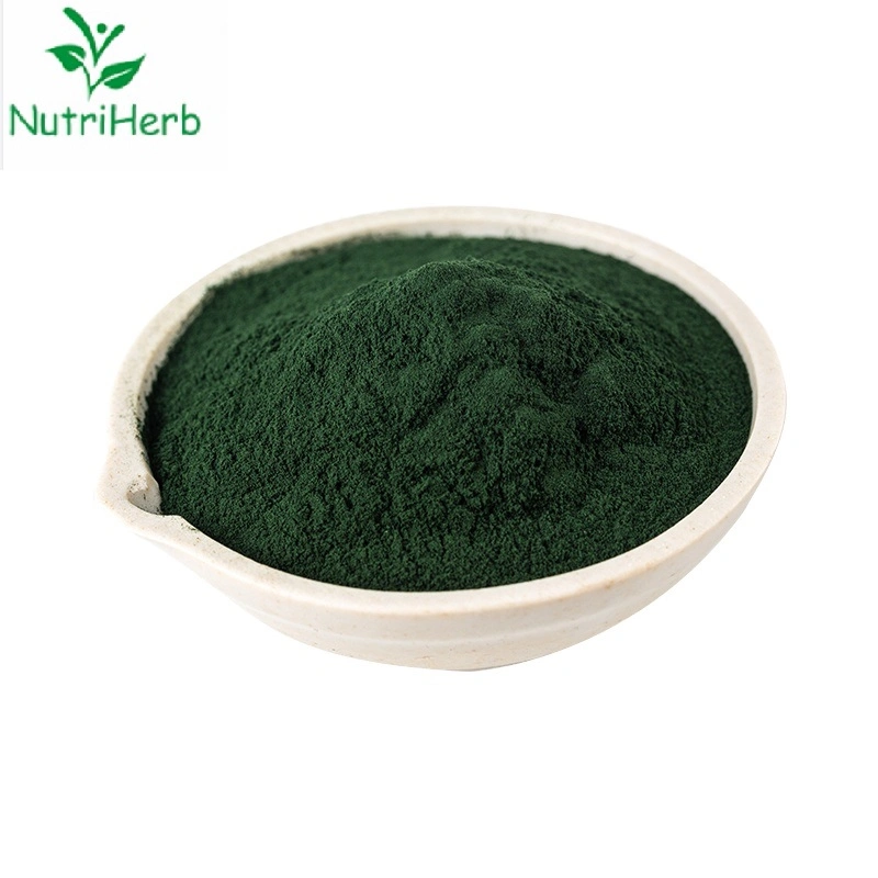 Wholesale Bulk Water Soluble Chlorophyll Organic Liquid Chlorophyll