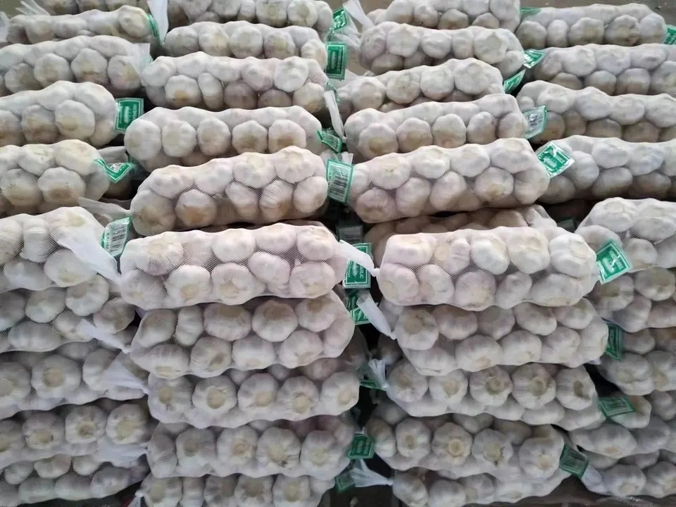 2023 New Crop Garlic with High quality/High cost performance 