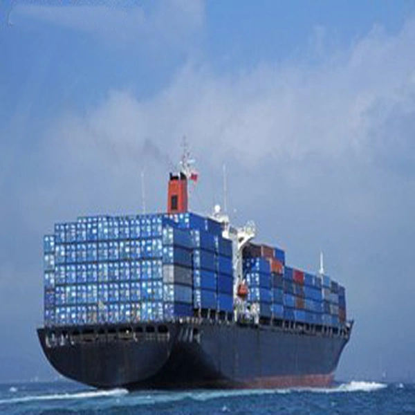 Ocean Shipping Logistics From Shenzhen to Punta Cuchillo Venezuela