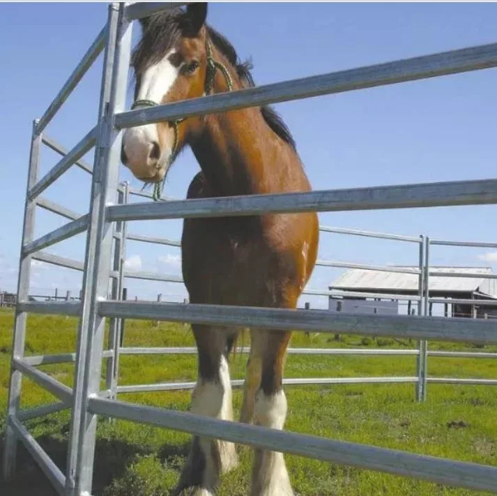 PVC Coated Stainless Steel Horse Fence