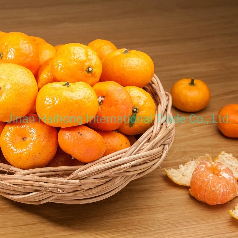 Regular Supplier for Fresh Mandarin Orange in China