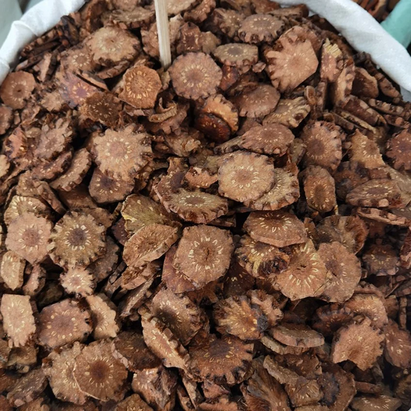 Guan Zhong China Supply Natural Dried Herbal Cyrtomium Rhizome