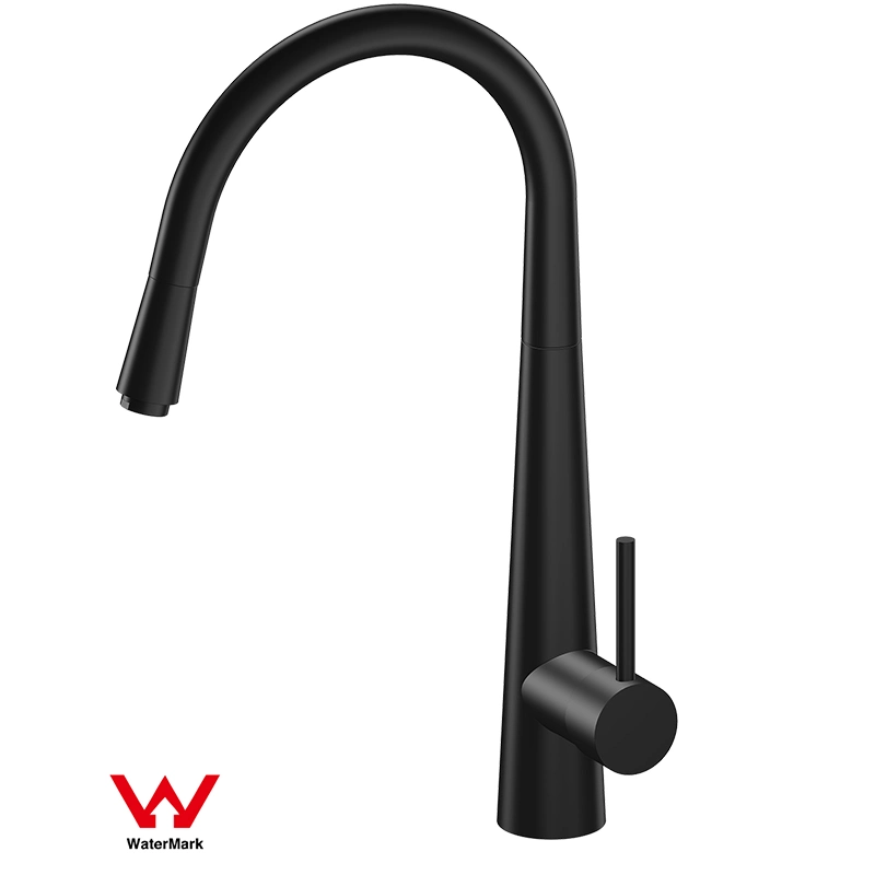 Watermark Wels Shower Set Bathroom Matte Black 2 Functions Shower Set