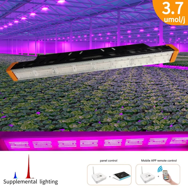 Horticulture Greenhouse Flowers Supplement Lighting Red Blue 660W LED Grow Light