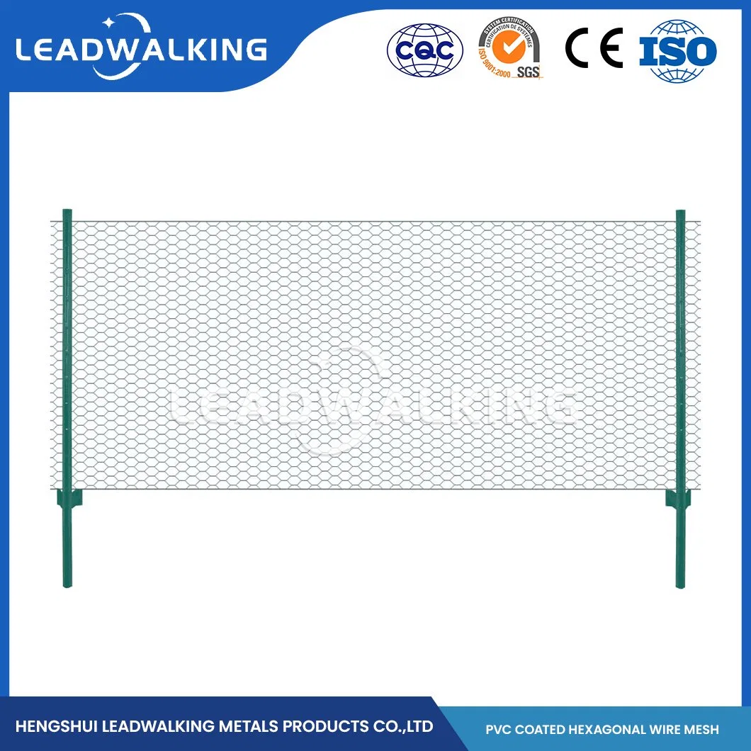 Leadwalking aço inoxidável material de arame revestido PVC arame de galinha Fabricação China 0.4 - 2,5 mm de espessura de arame Hexagonal Aço Netting