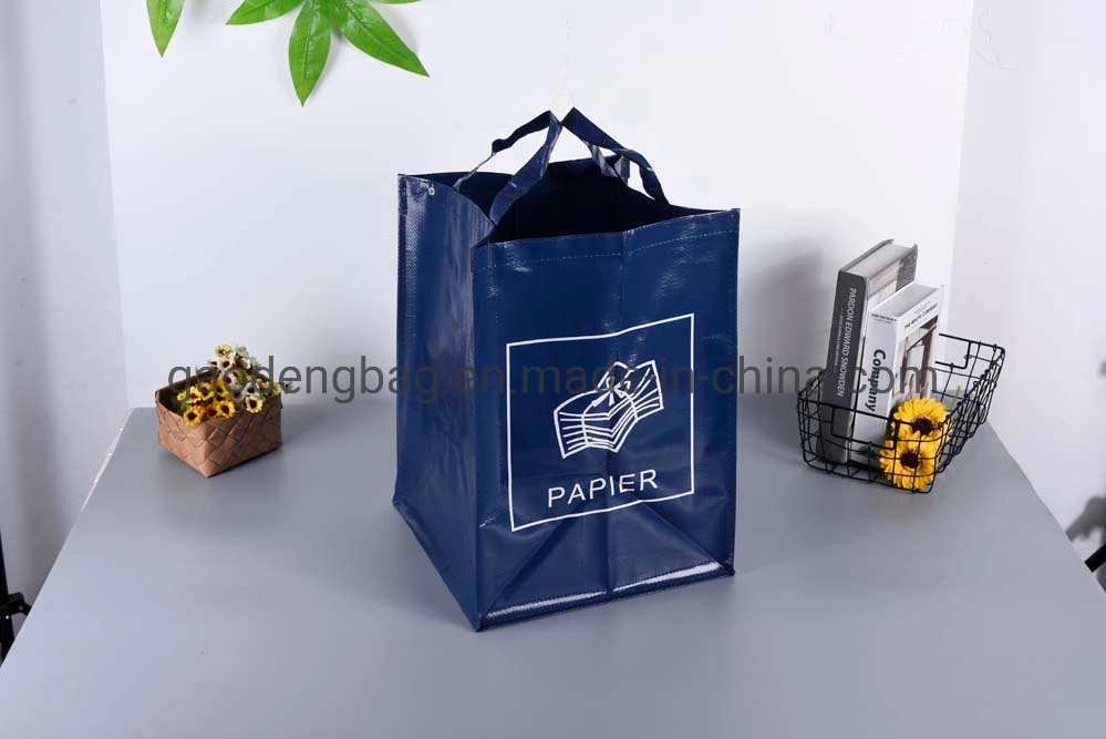 Promotional Custom Eco Tote PP Woven Shoppingbag with Logo