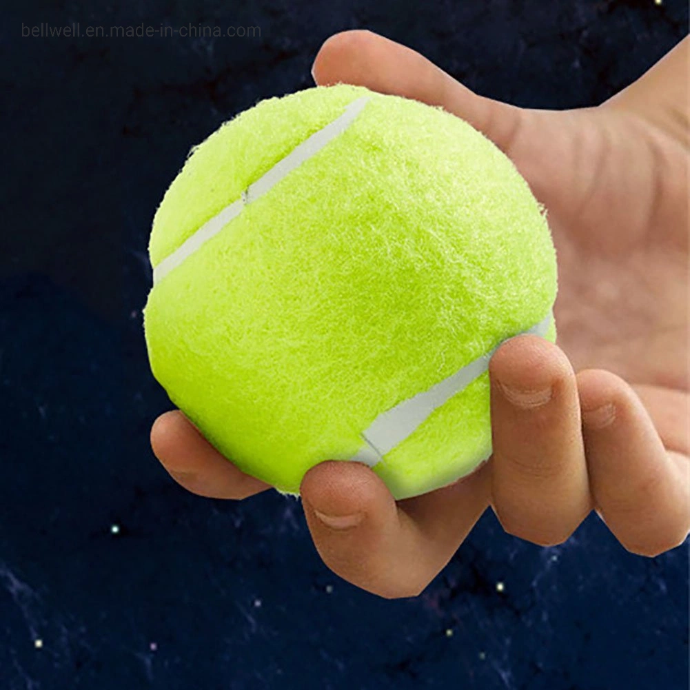 Penn Championship High Altitude Tennis Balls - Extra Duty Felt Pressurized Tennis Balls