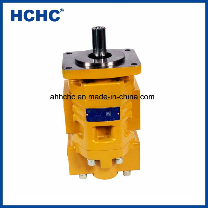 Hochdruck China Hydraulische Doppelzahnradpumpe Cbgnl zum Verkauf