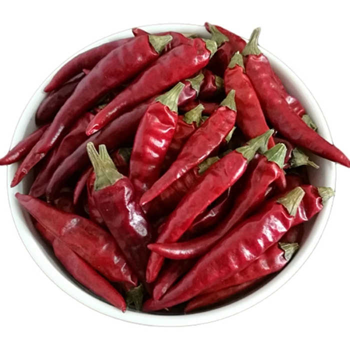 Chinese Zidantou Chilli Bullet Chili Birds Eye New Product Popular in Malaysia/Mexico/USA/South Aisa 50, 000 Shu High Heat