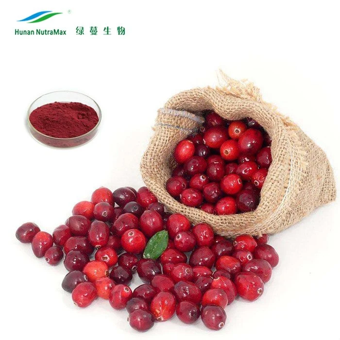 100% Natural Cranberry Fruit Juice Powder Extract (4: 1 to 25: 1)