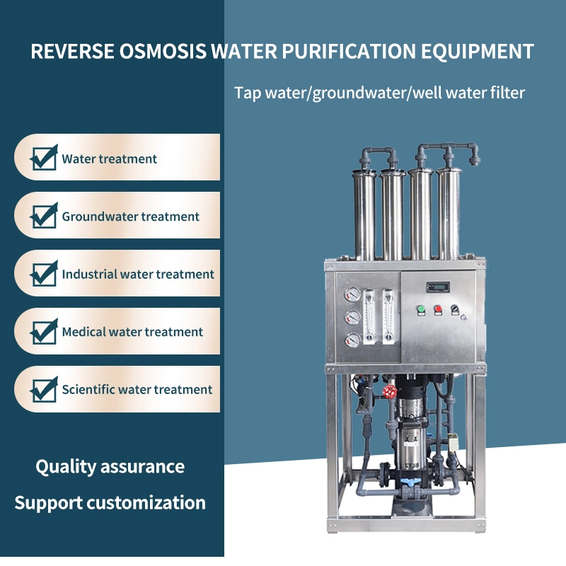 Water Treatment System/RO Water Treatment/Drinking Water Treatment 750lph