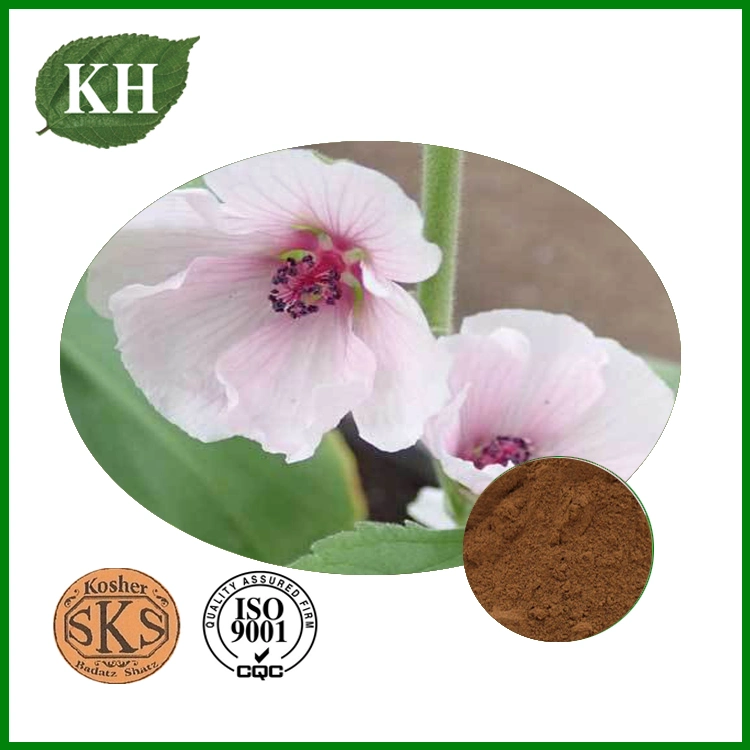 Chinese Herbal Polysaccharides From Althaea Officinalis Root Extract