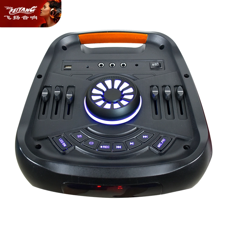 Feiyang Bt Karaoke Wireless Bluetooth Portable DJ Party Speaker Sound Box