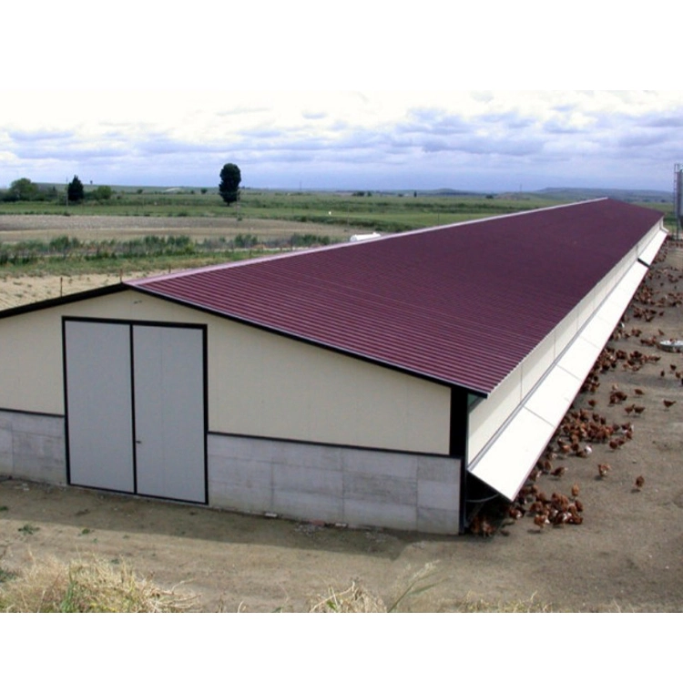 Tierra Llana de acero prefabricada tipo abierto de alimentación de la granja de aves de corral Gallinero