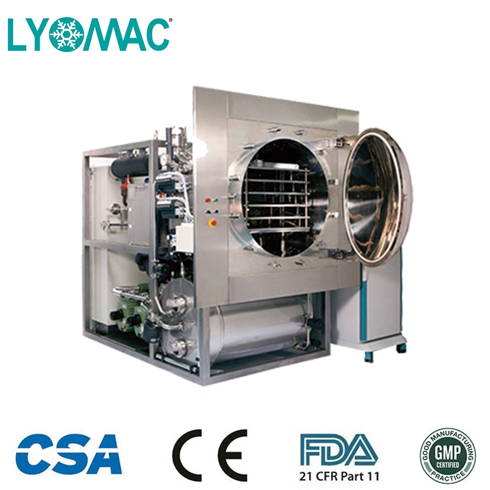 GMP/FDA Complianced Lyotro-10 Freeze Dryer Lyofilizers