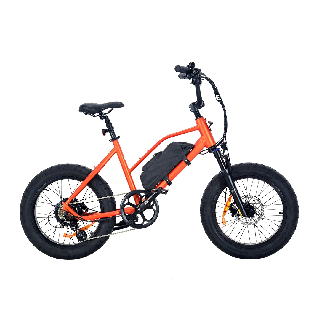 Electric Bike for Young People Motorized Bike with Suspension Front Fork for Ladies Ebike for City People