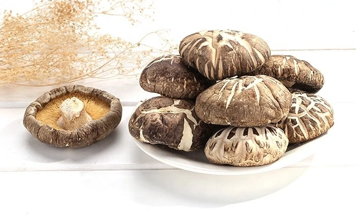 Dehydrated Tea Flower Mushroom Dried Lentinus Edodes 4-6cm