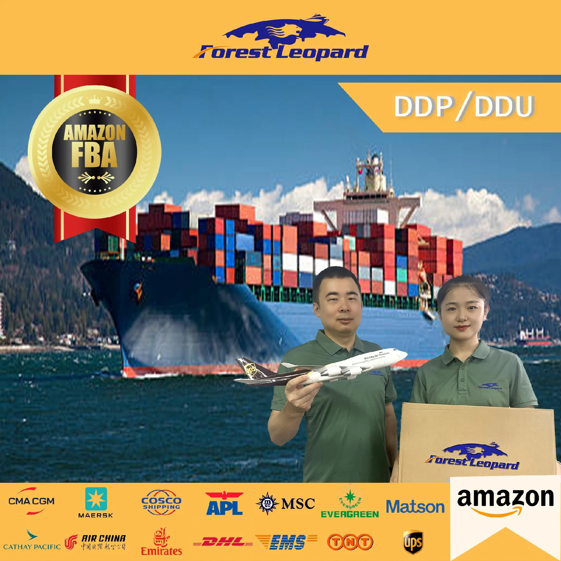 Shipping Company by Sea to Amazon Fba From China to UAE Saudi Arabia Dubai DDP Container Shipping