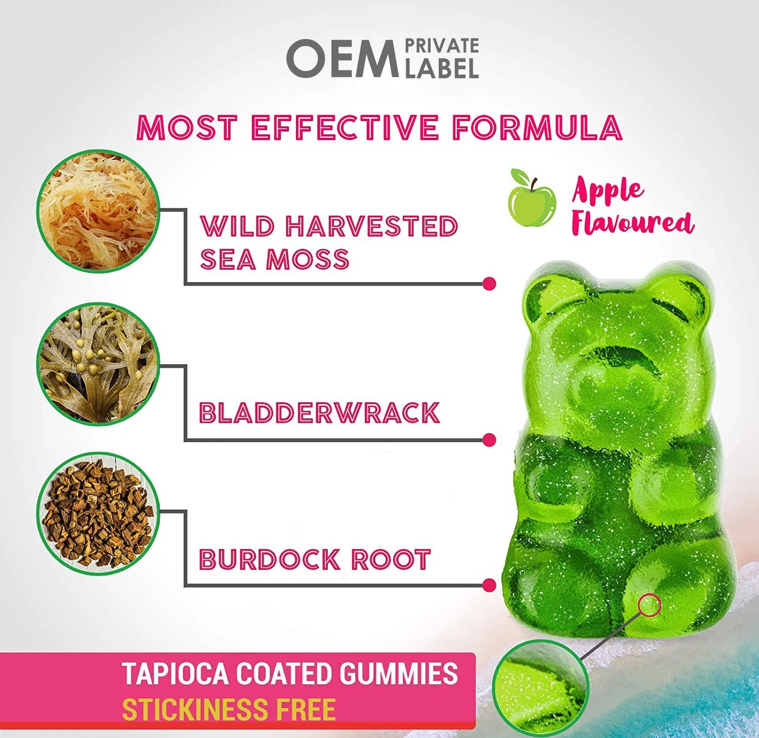 OEM Private Label World's First Sea Moss Gummies Green Bear Shape perda de peso pele cuidados sistema imunitário, pele, Energia e digestão