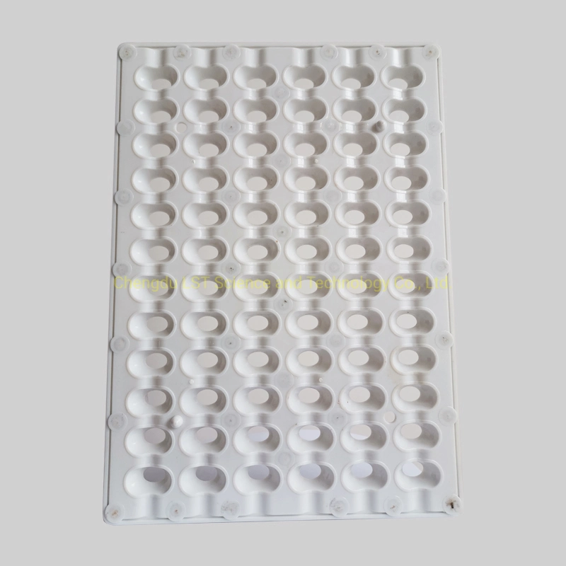 China Safety Brand Mould Polycarbonate Sphere Chocolate Molds