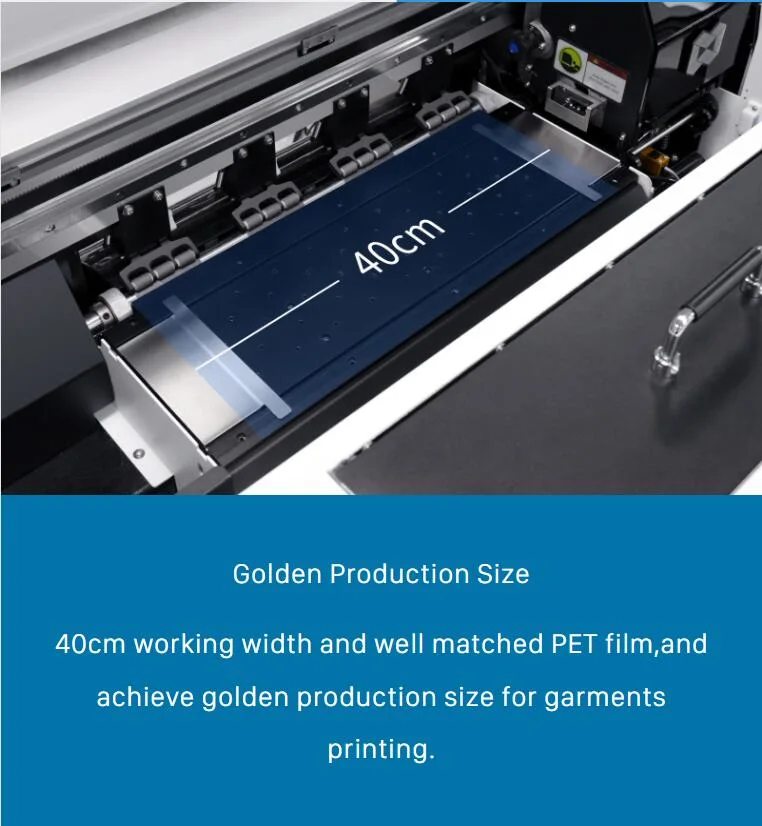 2023 Factory Hot Sale Dual / Three I1600 I3200 Heads 30cm 40cm 80cm Pet Film T-Shirt Hoodie Dtf Printer with Powder Shaking